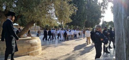 مستوطنون يقتحمون باحات المسجد الأقصى المبارك 